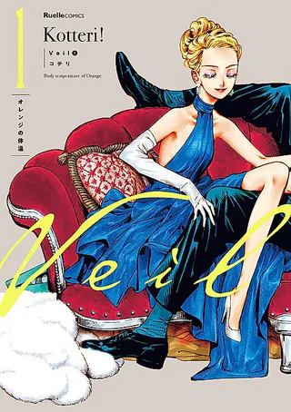 Cover for Veil