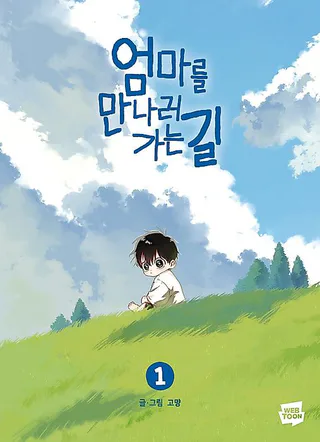Cover for On the Way to Meet Mom