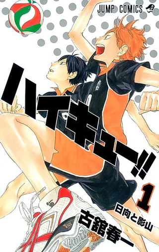 Cover for Haikyu!!