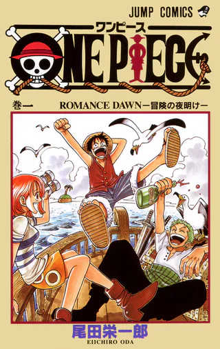 Cover for One Piece