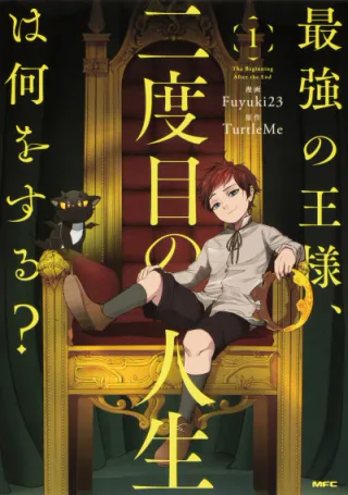 Cover for The Beginning After the End