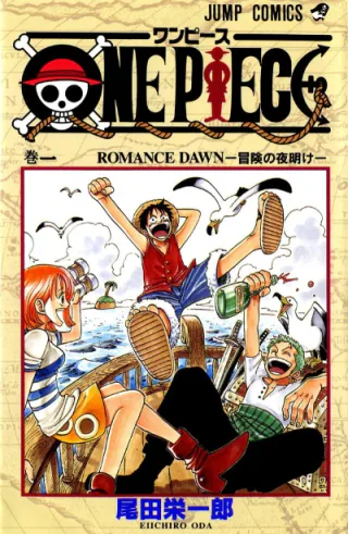 Cover for One Piece