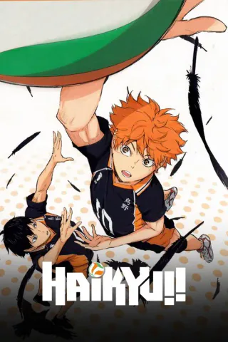Cover for Haikyuu!!