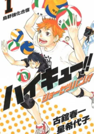 Cover for Haikyuu!! Shousetsu-ban!!