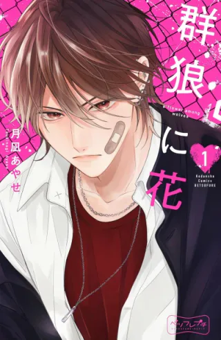 Cover for Flower and Wolves