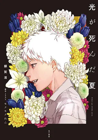 Cover for The Summer Hikaru Died (Light Novel)