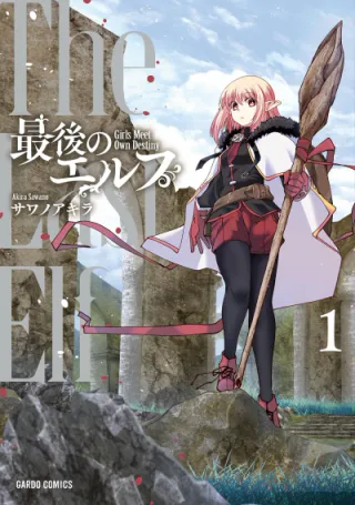 Cover for The Last Elf