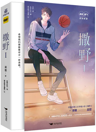 Cover for Saye