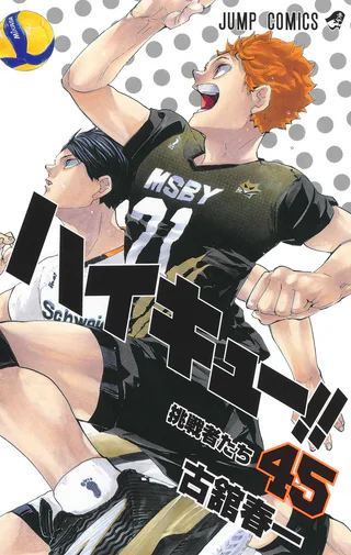 Cover for Haikyuu!!