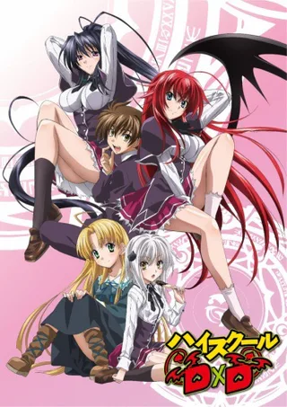 Cover for High School DxD