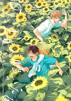 Cover for Hidamari ga Kikoeru