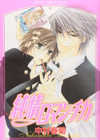 Cover for Junjo Romantica