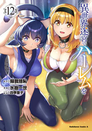 Cover for Isekai Meikyuu de Harem o