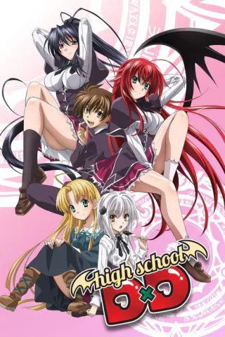 Cover for High School DxD