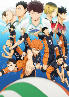 Cover for Haikyuu!!