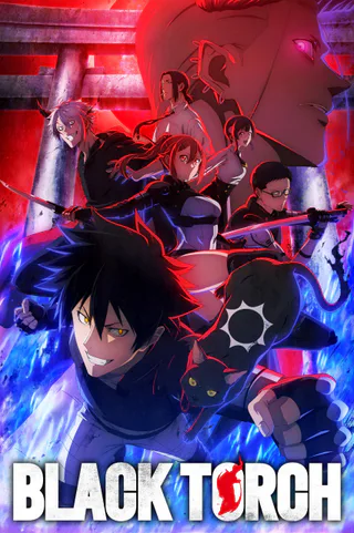 Cover for Black Torch
