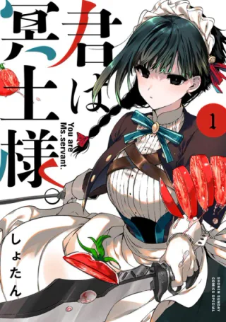 Cover for Kimi wa Maid-sama